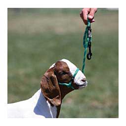 Snap Lead Halter for Goats and Sheep Green Twist - Item # 45242