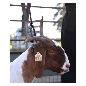 Goat Neck Tie Advantage - Item # 45243