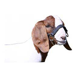 1st Class Sheep/Goat Halter Black - Item # 45244