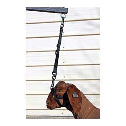 Elevate Adjustable Bungee Tie for Goats and Sheep Black - Item # 45245