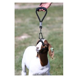 Buddy System Tangle-Free Walking Handle for Goats and Sheep Black - Item # 45246
