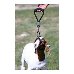 Buddy System Tangle-Free Walking Handle for Goats and Sheep Black - Item # 45246