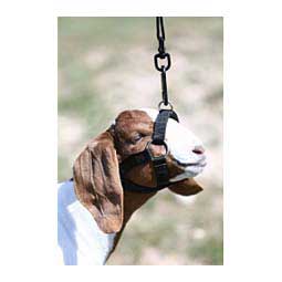 Performance Halter for Goats and Sheep Black - Item # 45249