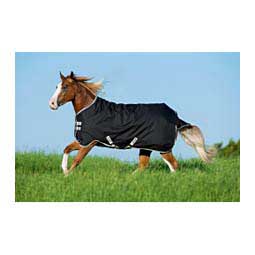 Amigo Stock Horse Medium Turnout Horse Blanket Black/Silver - Item # 45273