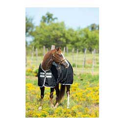 Amigo Stock Horse Medium Turnout Horse Blanket Black/Silver - Item # 45273
