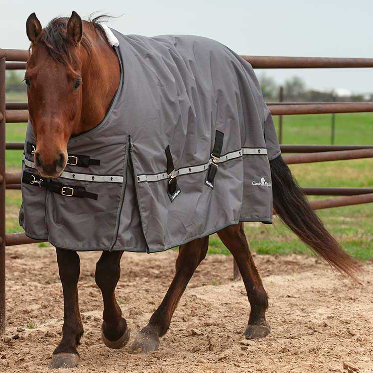 10K Cross Trainer Turnout Horse Blanket Classic Equine Turnout