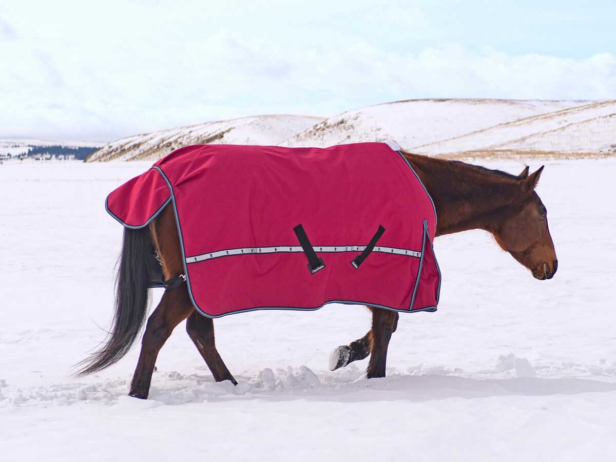 10K Cross Trainer Turnout Horse Blanket Cranberry Item 45307