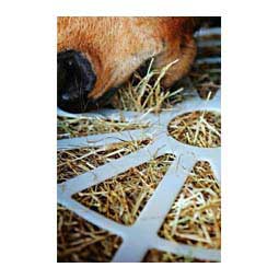 Replacement Easy Regulator Grate for the Forager Slow Feeder White 2 ct - Item # 45355