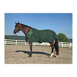 Therapeutic Warmth Therapy Mesh Horse Sheet Hunter Green - Item # 45383