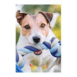 Cotton Rope Dog Toy Medium 12'' - Item # 45405