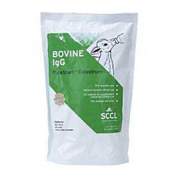 Bovine IgG PureStart Colostrum 700 gm - Item # 45438