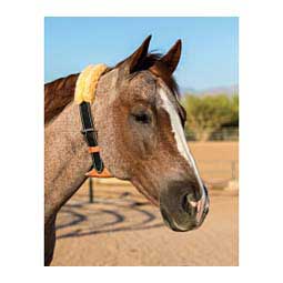 The Dare Cribbing Control Collar for Horses Black - Item # 45480