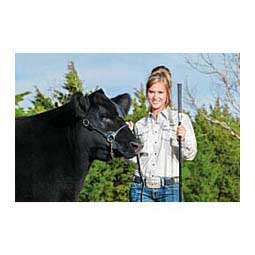Dairy/Beef Rounded Show Halter Black - Item # 45538