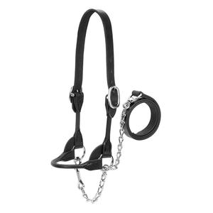 Dairy/Beef Rounded Show Halter Black - Item # 45539