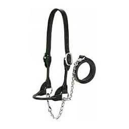 Dairy/Beef Rounded Show Halter Black - Item # 45539