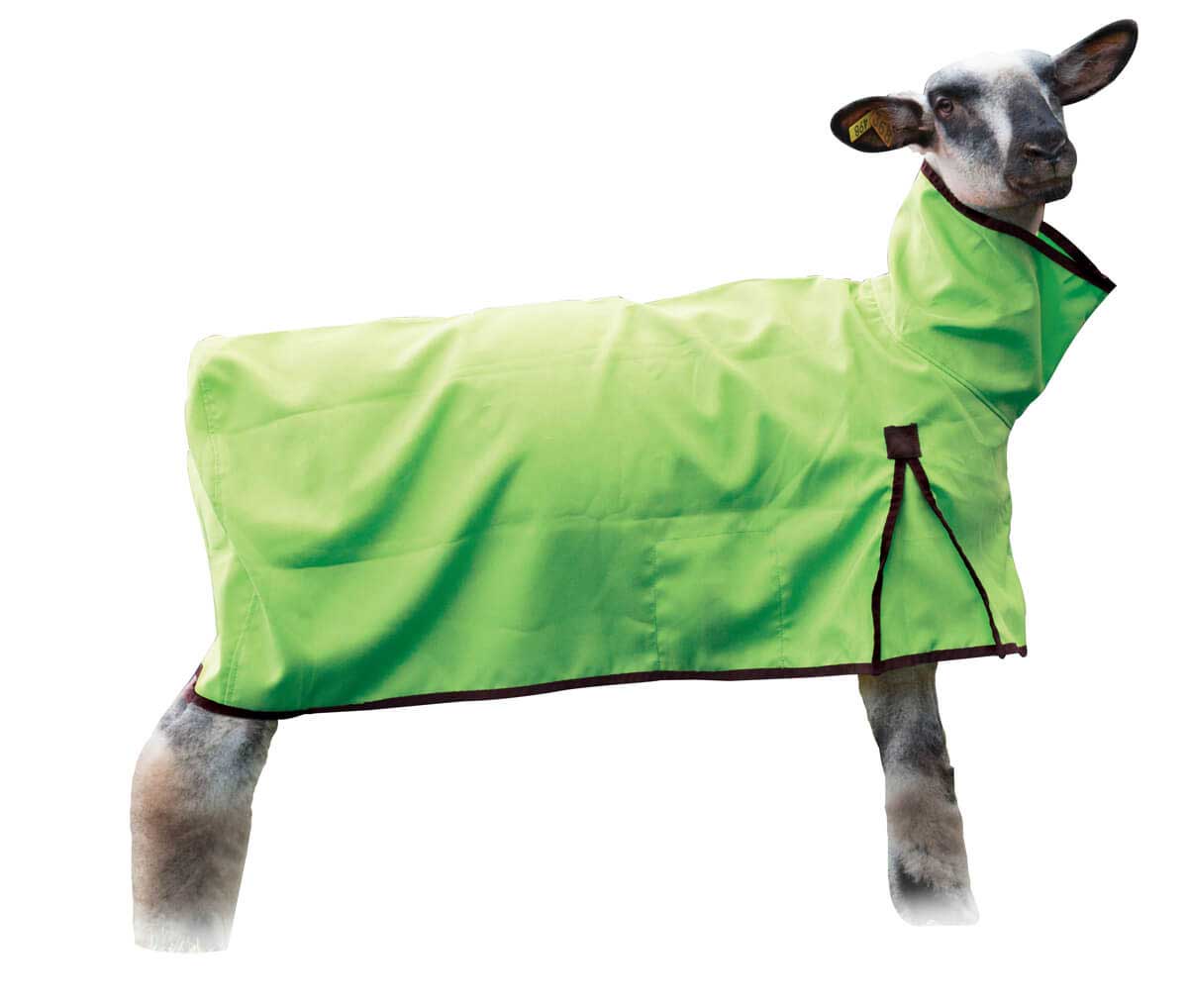 Sheep Blanket w/Solid Butt Weaver Livestock Blankets Tubes Farm