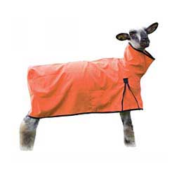Sheep Blanket w/Solid Butt Orange - Item # 45542