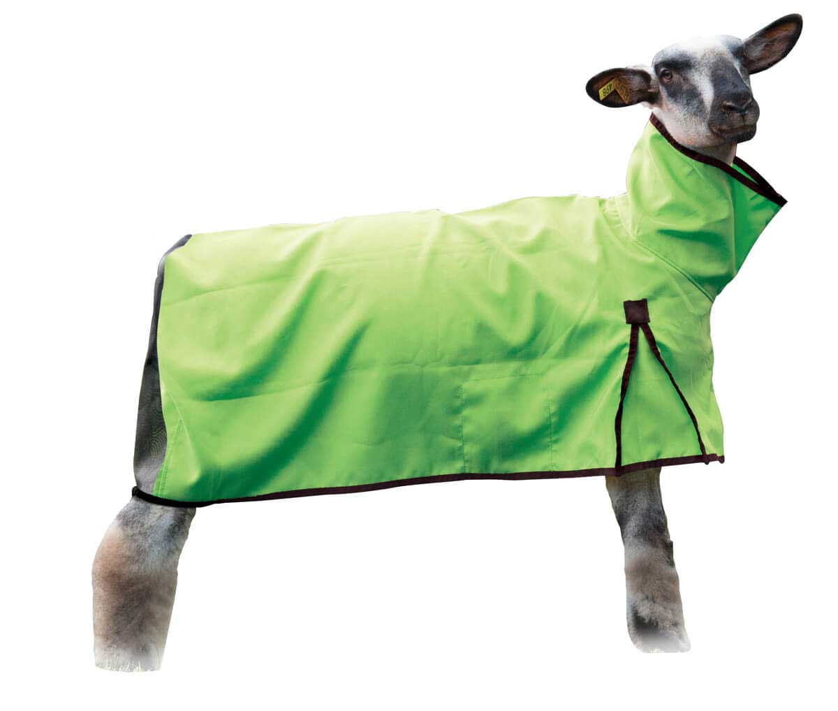 Sheep Blanket w/Mesh Butt Weaver Livestock Blankets Tubes Show