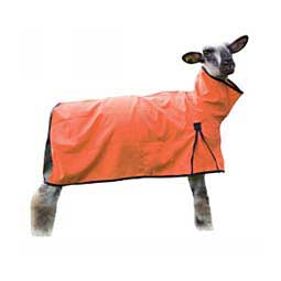 Sheep Blanket w/Mesh Butt Orange - Item # 45543