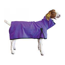Goat Blanket w/Solid Butt Purple - Item # 45544