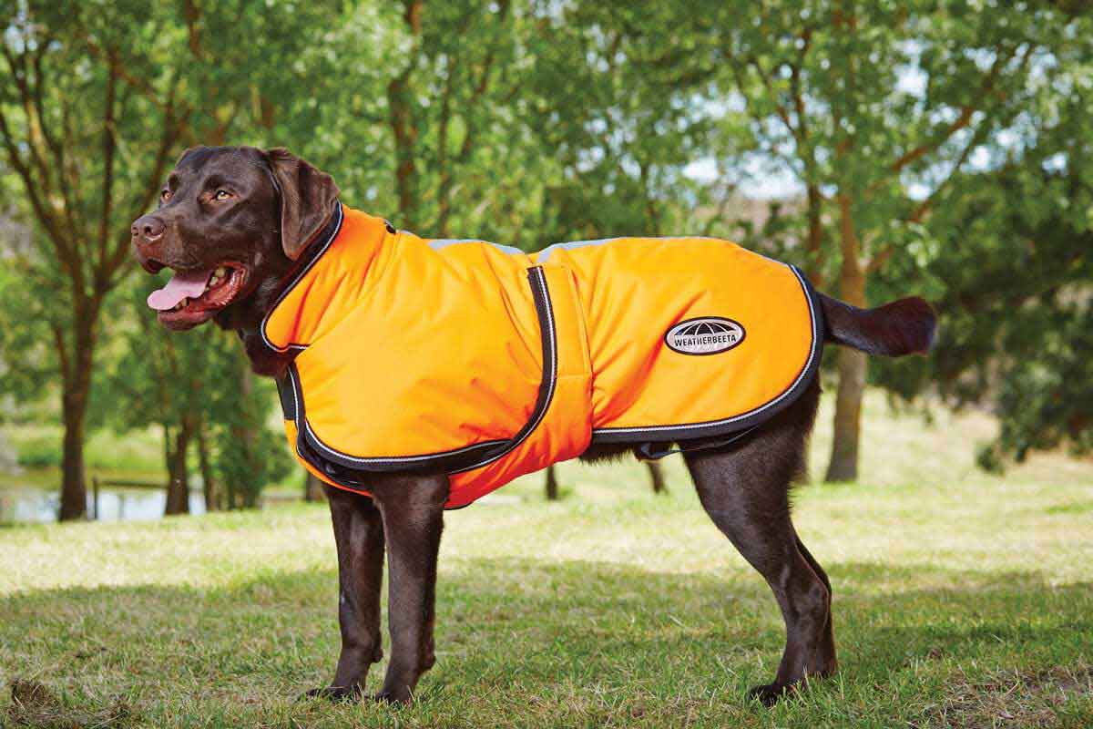 Reflective Parka 300D Deluxe Lite Dog Coat Weatherbeeta - Dog Blankets ...