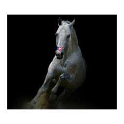 Flair Equine Nasal Strips USA Flag 6 ct - Item # 45691