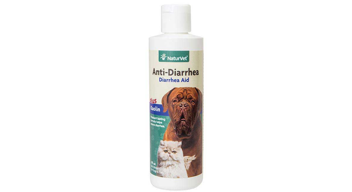 Anti Diarrhea Aid Plus Kaolin For Dogs And Cats Naturvet Digestive Supplements Pet - Diy Flea Bath For Dogs With Diarrhea
