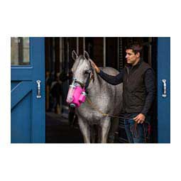 Flexineb E3 Nebulizer for Horses Pink - Item # 45758