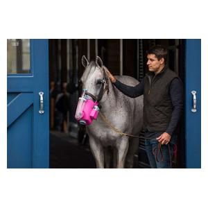 Flexineb E3 Nebulizer for Horses Pink - Item # 45758