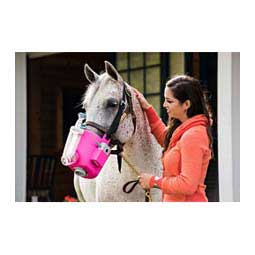 Flexineb E3 Nebulizer for Horses Pink - Item # 45758