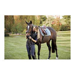 Collegiate Scholar All Purpose English Saddle with Round Cantle Brown - Item # 45807
