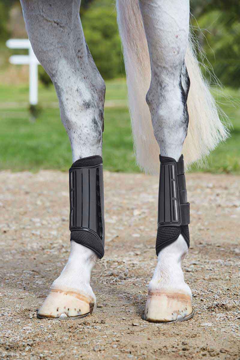 Eventing Hind Horse Boots Weatherbeeta - Support Boots | Sports ...
