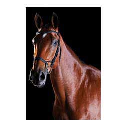 Collegiate Comfitec Training Bridle Black - Item # 45898