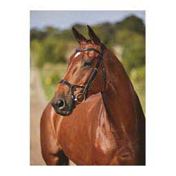 Collegiate Comfitec Training Bridle Black - Item # 45898