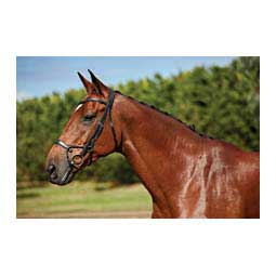 Collegiate Comfitec Training Bridle Black - Item # 45898