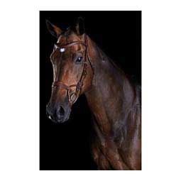 Collegiate Comfitec Training Bridle Brown - Item # 45898