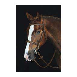 Collegiate Mono Crown Fancy Stitched Raised Caveson Bridle Brown - Item # 45903