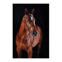 Collegiate Comfort Crown Fancy Stitched Raised Caveson Bridle Brown - Item # 45904