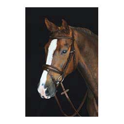 Collegiate Mono Crown Padded Raised Flash Bridle Brown - Item # 45905