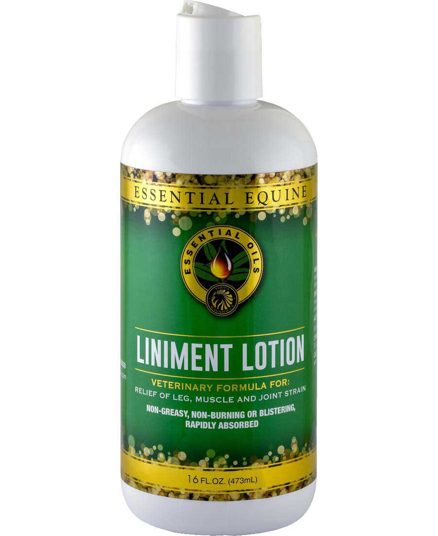 Valley Vet - Liniment Lotion for Horses Essential Equine - Liniments ...