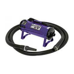 Circuiteer V Purple - Item # 45946