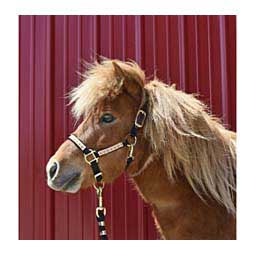 Nylon Ribbon Safety Halter for Mini Horses Fox - Item # 45950