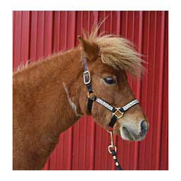 Nylon Ribbon Safety Halter for Mini Horses Bee - Item # 45950