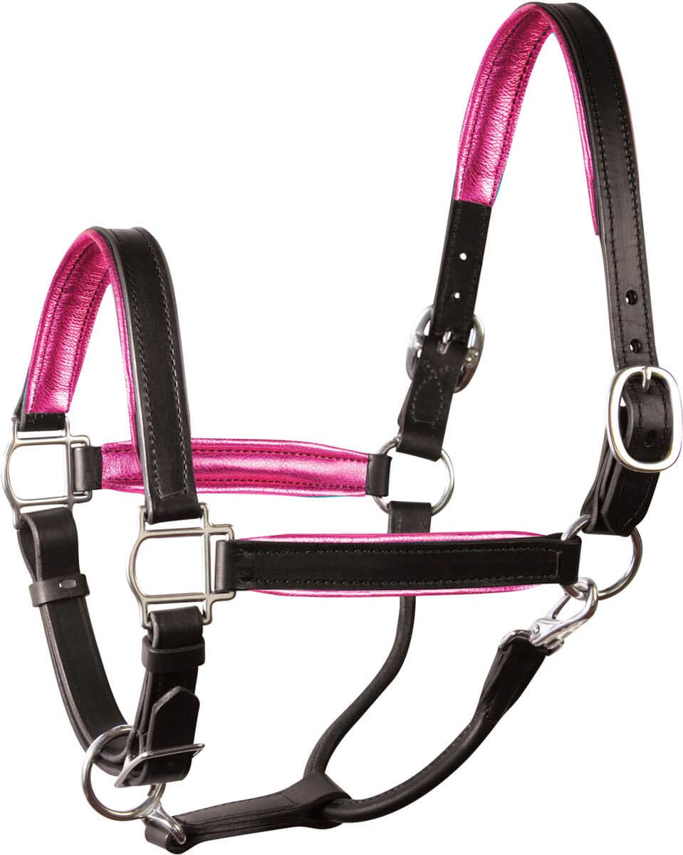 Leather Halter with Metallic Color Padding Perri's Leather - Halters, Halters Leads