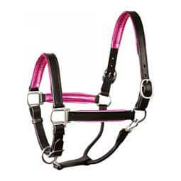 Leather Halter with Metallic Color Padding Black/Pink - Item # 45951