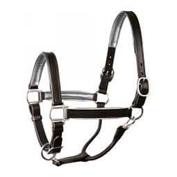 Leather Halter with Metallic Color Padding Black/Silver - Item # 45951