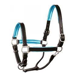 Leather Halter with Metallic Color Padding Black/Turquoise - Item # 45951