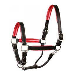 Leather Halter with Metallic Color Padding Black/Red - Item # 45951