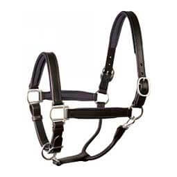 Leather Soft Padded Horse Halter Black/Black - Item # 45954