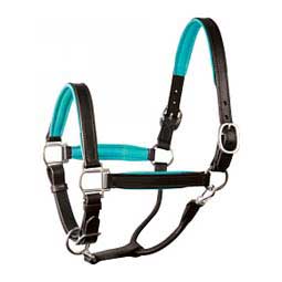 Leather Soft Padded Horse Halter Black/Turquoise - Item # 45954
